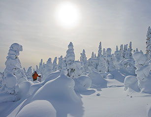 National Parks in Winter